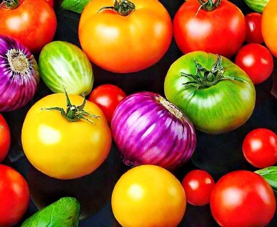 Seed Stories: A Deep Dive into the World of Heirloom, Open-Pollinated, F1 Hybrid, and GMO Seeds for Your Garden