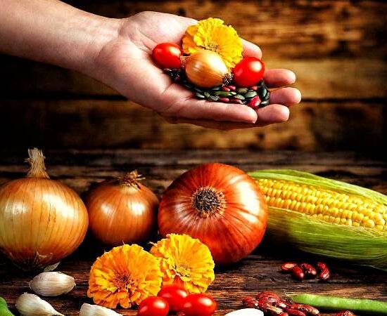 Seed Stories: A Deep Dive into the World of Heirloom, Open-Pollinated, F1 Hybrid, and GMO Seeds for Your Garden