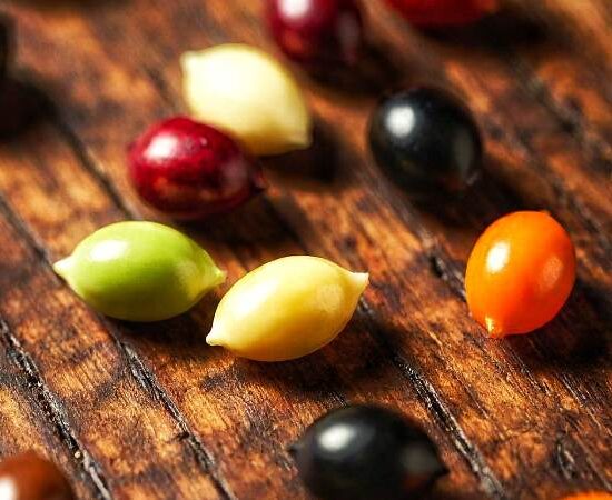Seed Stories: A Deep Dive into the World of Heirloom, Open-Pollinated, F1 Hybrid, and GMO Seeds for Your Garden