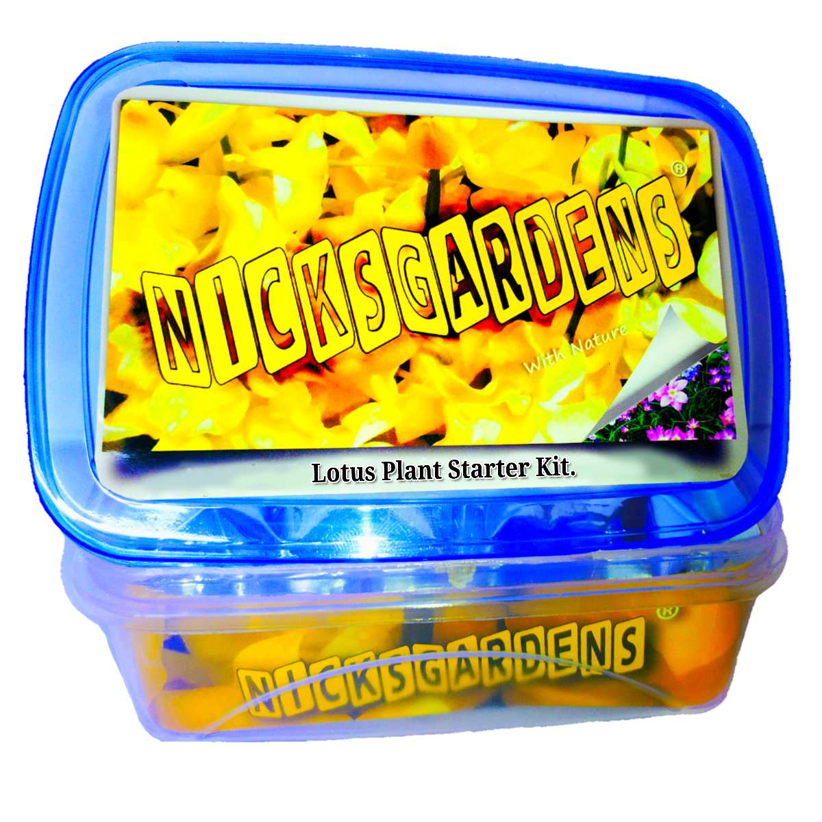 Nicksgardenss?? Product BOX-LOTUS-STARTER-PLANT001