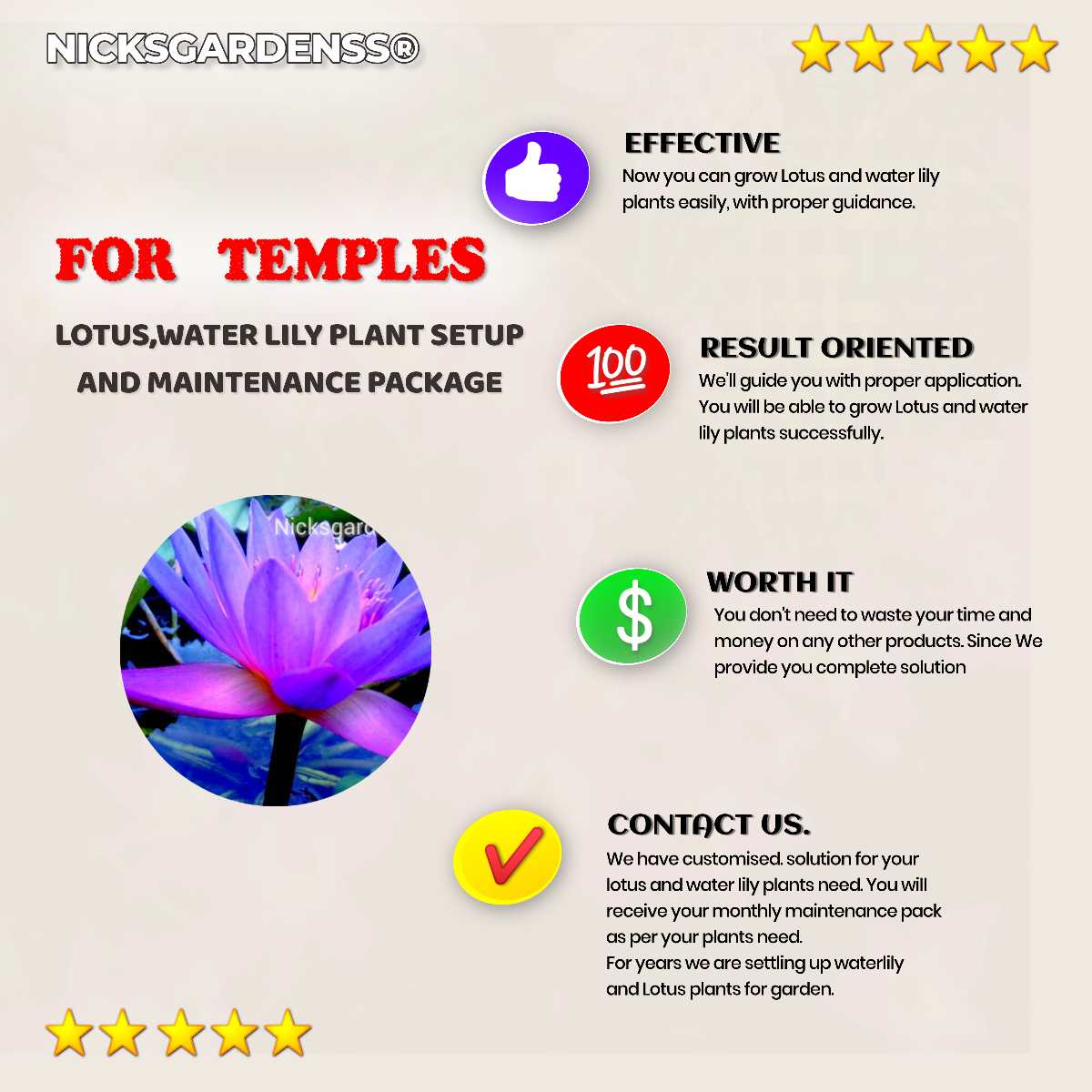 For Temples : Lotus, Water Lily Setup And maintenance Package For Temples : Lotus, Water Lily Setup And maintenance Package