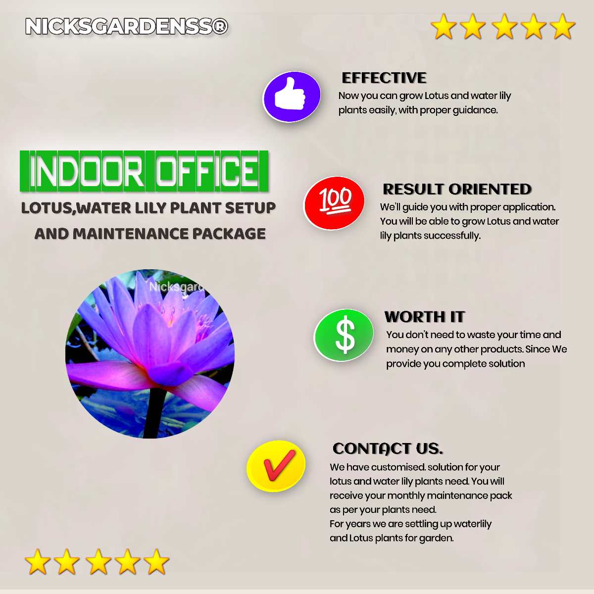 For indoor, offices: Lotus, Water Lily Setup And maintenance Package For indoor, offices: Lotus, Water Lily Setup And maintenance Package