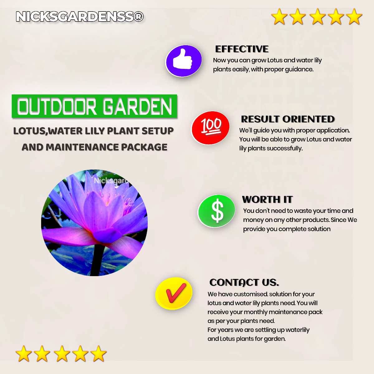 For Outdoor, Garden: Lotus, Water Lily Setup And maintenance Package For Outdoor, Garden: Lotus, Water Lily Setup And maintenance Package