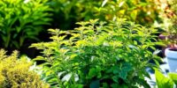 Part 05-Victory Garden Series: Your Garden of Well-being