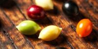 Claim Free Seeds