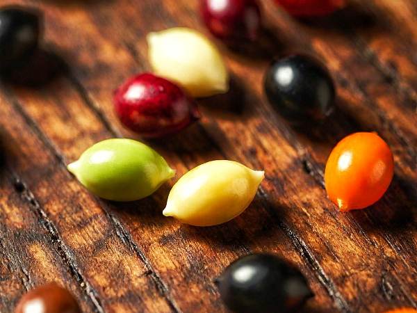 Claim Free Seeds