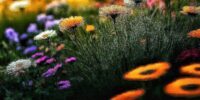 Part 03-Whispers from the Green Realm