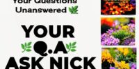 Your QA ASK NICK