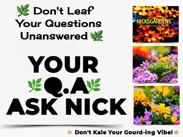 Your QA ASK NICK