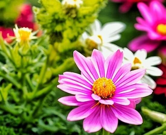 What Are Therapeutic Gardens and How Can They Heal?