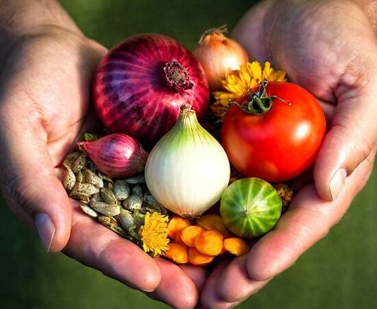 Seed Stories: A Deep Dive into the World of Heirloom, Open-Pollinated, F1 Hybrid, and GMO Seeds for Your Garden